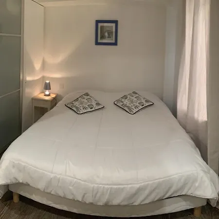Apartment Miramar Plage Appartement Cannes